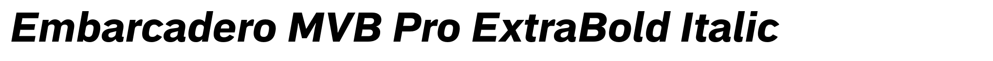 Embarcadero MVB Pro ExtraBold Italic image